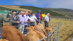 Los diputados regionales del PP de Asturias, Luis Venta y Salvador M�ndez, en la Feria de Santa Ana de Villanueva De Oscos.