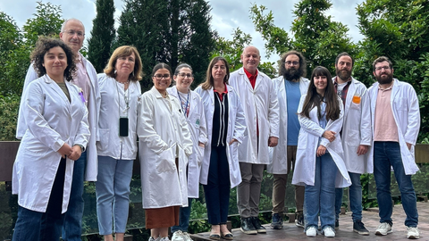 Alejandra Mart�nez (Uniovi), Segundo Gonz�lez (Uniovi), Ana Pilar Gonz�lez (HUCA), Candelaria Aguilar (Uniovi), Luc�a Morais (HUCA), Esther Gonz�lez (Cabue�es), �ngel Ram�rez (HUCA), Jes�s Pascual (Uniovi), Roc�o Granda (Uniovi), Christian Sordo (Uniovi),