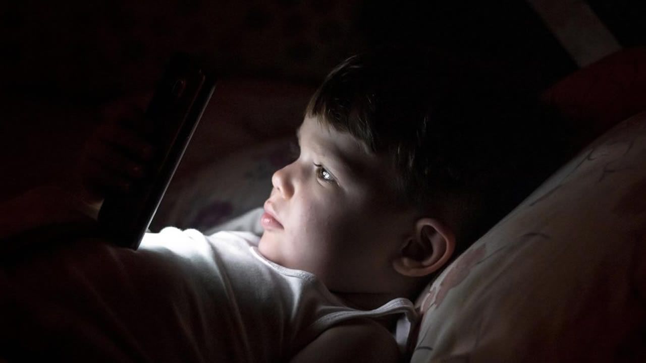 El loro Curro regresa a su hogar en Os Me&aacute;ns, Vila&ntilde;o: ¡las im&aacute;genes!.26 de marzo