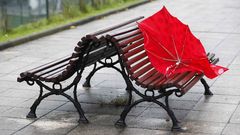 Un paraguas abandonado en un banco de un parque de Oviedo, en pleno temporal