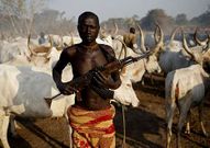 Un dinka sostiene un fusil junto a su ganado.