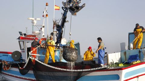 Un pesquero gallego capturando sardina en la ra de Arousa el pasado junio