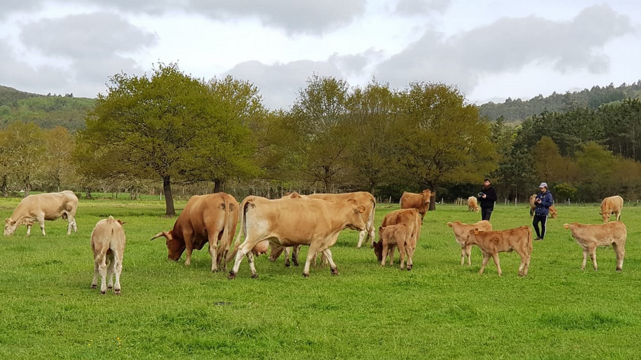 Accidente en L�ncara
