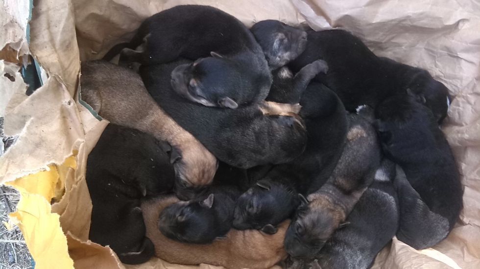 Jarju, a la izquierda, controla el bal�n en el partido del pasado domingo ante el Laracha. 