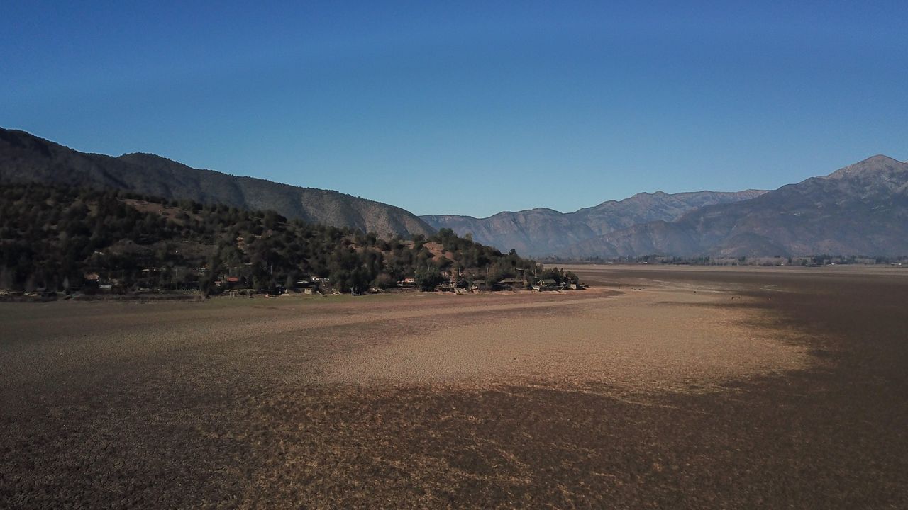 Fumigacin de palmeras en la ronda de Nelle.Pedro Snchez, participa en la inauguracin de la Climate Week en Nueva York