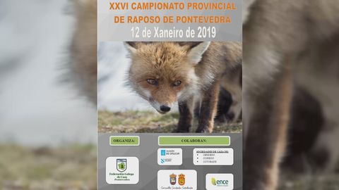 Critican la aparicin de logotipos de la Xunta en los carteles de campeonatos de caza de zorro