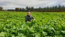 Roberto López manipula y envasa más de 2.500 toneladas de alimentos de hoja verde al año en su compañía Hortalizas R. López, situada en A Laracha