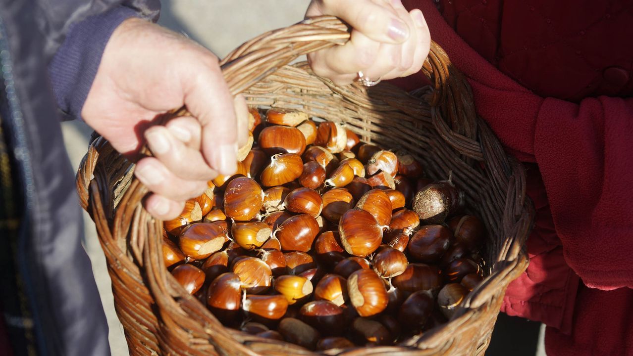 Imagen virtual del futuro albergue de peregrinos de la calle Santiago
