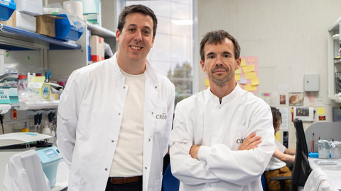 Pedro G�mez, a la izquierda, y Manuel Valiente, investigadores del CNIO.
