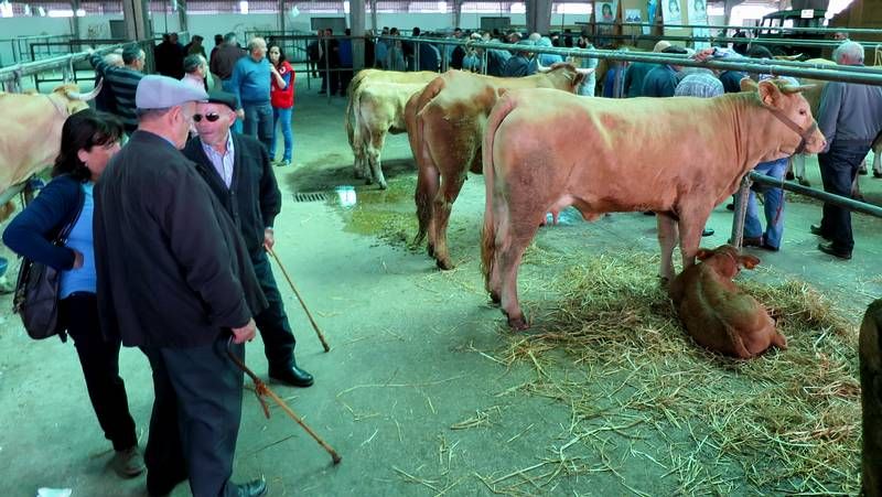 El Fiscal General del Estado, Eduardo Torres Dulce, habla con el coordinador de las Jornadas Jur�dicas de Sarria, Carlos Lema