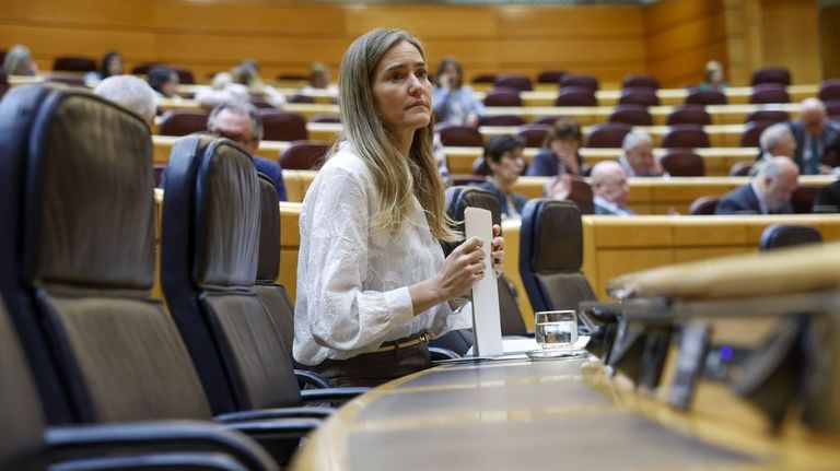 El Gobierno recuperará el decreto antiapagones en septiembre, pero el sector teme modificaciones «políticas»
