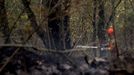 Un bombero participa en las labores de extincin de un incendio declarado en la Reserva de la Biosfera de Muniellos (Asturias), considerado como el robledal mayor y mejor conservado de Espaa, en 2017