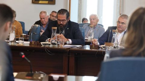 Óscar Poy, en el pleno, utilizando el móvil