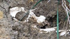 Crneo humano de un enterramiento del yacimiento arqueolgico Traslaiglesia, en Baugues, concejo de Gozn (Asturias)