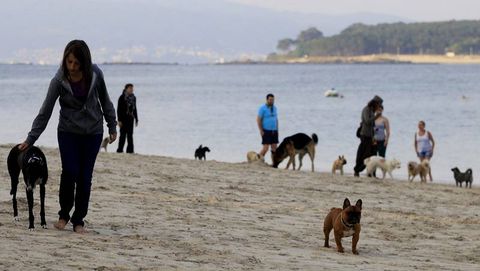 En la playa de Toralla de Vigo se pueden llevar perros provisionalmente a partir de las 8 de la tarde