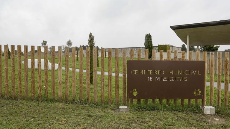 Entra en vigor la Ordenanza del Cementerio de Mascotas de Lugo: requisitos y claves del nuevo servicio pionero en Galicia
