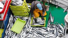 Imagen de archivo de un pesquero de artes menores descargando xarda en el puerto de Burela, lder en Galicia en ventas de ese pescado azul de temporada