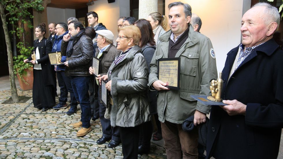 Media distancia que llega a Lugo para conectar con el Alvia a Madrid