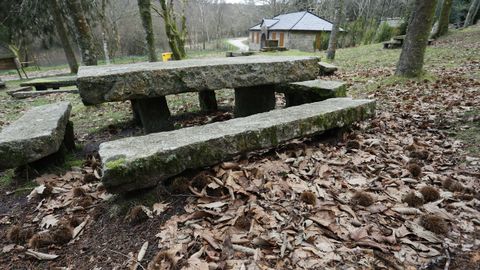 El área recreativa de San Xoán, cerca del pantano, es lugar frecuentado para recoger setas.