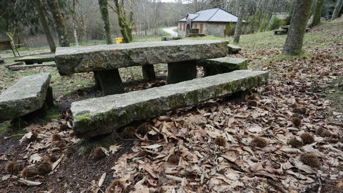 El rea recreativa de San Xon, cerca del pantano, es lugar frecuentado para recoger setas.