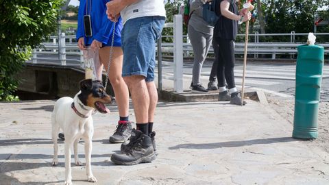 Un perro junto a varios peregrinos, en Portomarín