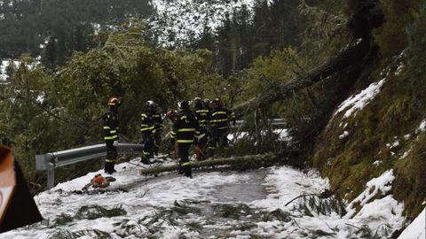 Los efectivos realizan trabajos de corte con motosierra de rboles cados para as poder despejar las vas con ayuda de las cuas