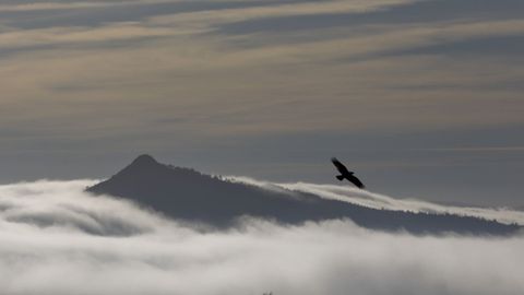 Views of Pico Sacro, in Boqueixn, on a foggy day.