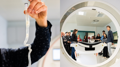 Simulaci�n de la arteria car�tida (izquierda) e interior del tubo en la m�quina de resonancia (derecha).