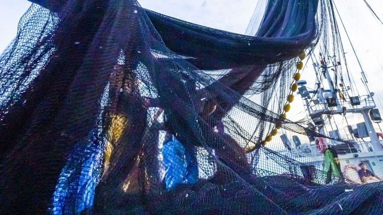 Renovado el proyecto «Redes de España» para su segunda edición