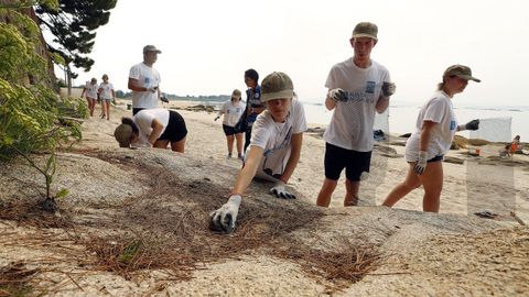 Los voluntarios de Amicos participan en el Campus Verde en la Playa de la Corna, en Palmeira