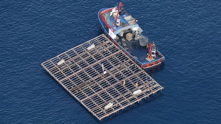 El calentamiento del agua amenaza la rentabilidad de los cultivos en la ría de Vigo