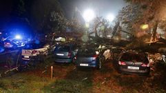 Un pino cae sobre ocho coches en Acea de Ama