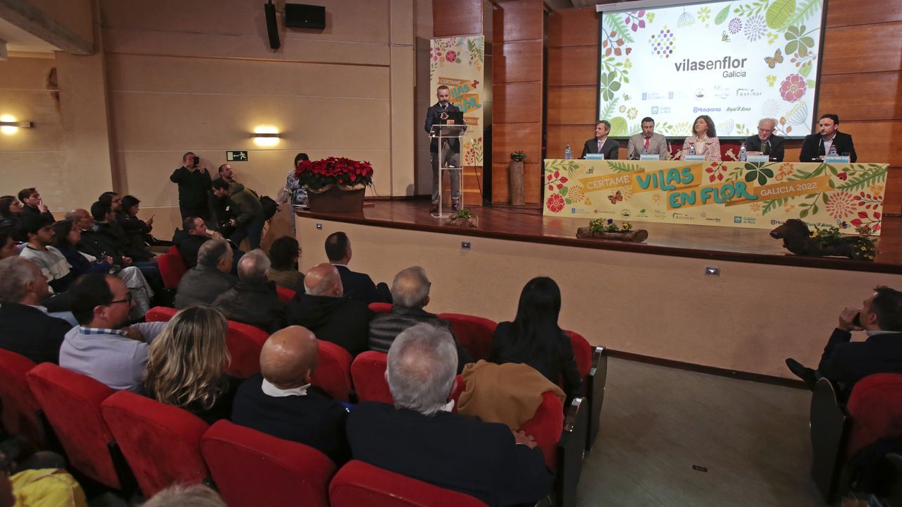 La Navidad ilumina A Corua.El Auditorio Municipal de Caldas acogi este viernes los premios de Vilas en Flor