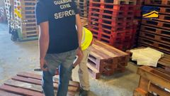 Agentes del Seprona inspeccionan una partida de pals y otros embalajes de madera