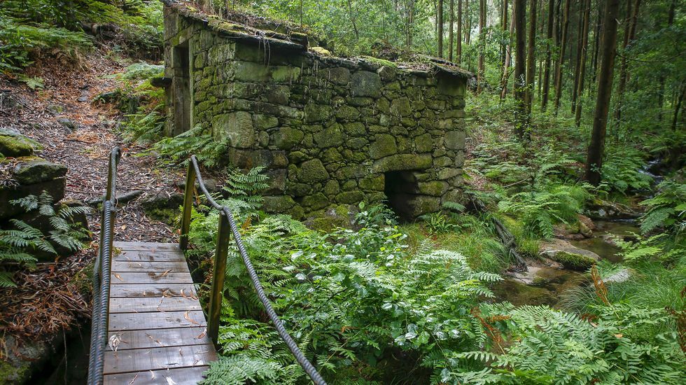 Ruta por el ro San Tom, en Porto do Son.El jefe de la Brigada de Patrimonio de la Polica Nacional, Antonio Tenorio, y el juez Vzquez Tan entregan el Cdice Calixtino al arzobispo de Santiago