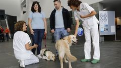 Perros de la unidad de investigacin de terapia ocupacional de A Corua