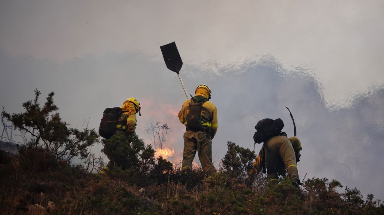 Asturias pide ayuda a la UME para combatir la oleada de incendios: ya ...