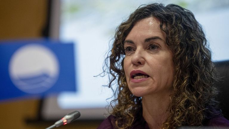 La secretaria de Estado de Turismo optará a suceder a Armengol