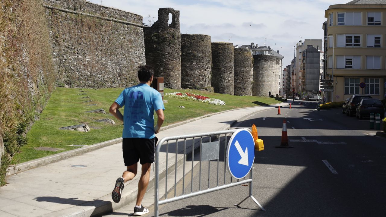 Los lobos matan 20 ovejas en una explotacin de Sarria.La continuidad del carril peatonal de la Ronda da Muralla genera debate