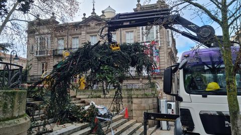 Cedro que cay en los jardines de Padre Feijo de Ourense a causa de la lluvia y del vendaval