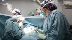 Sanitarios del Hospital Vall d'Hebron de Barcelona en uno de los quirfanos donde se realizan trasplantes