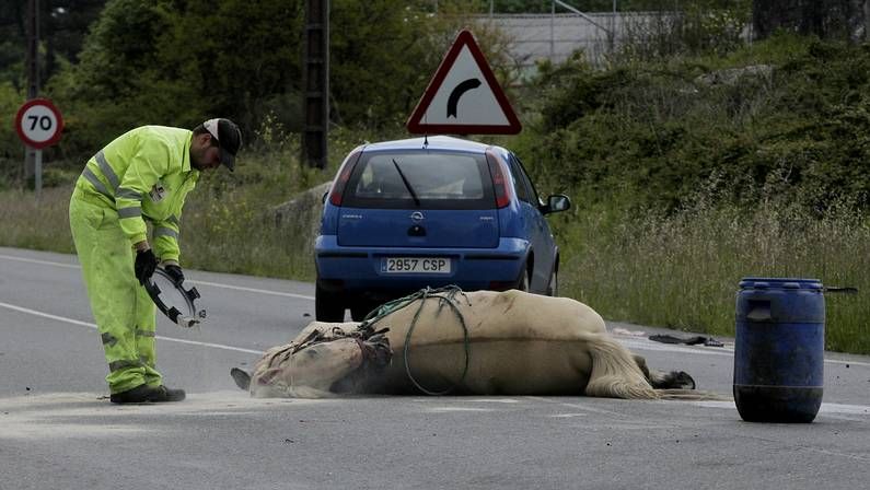 �ltimo encuentro entre el presidente Feijoo y el franciscano Rodr�guez Carballo.