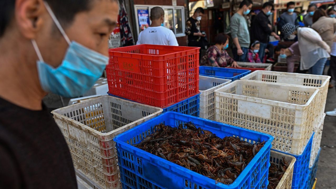 Los «mercados húmedos» reabren en China: ¿deben preocuparnos en Galicia?