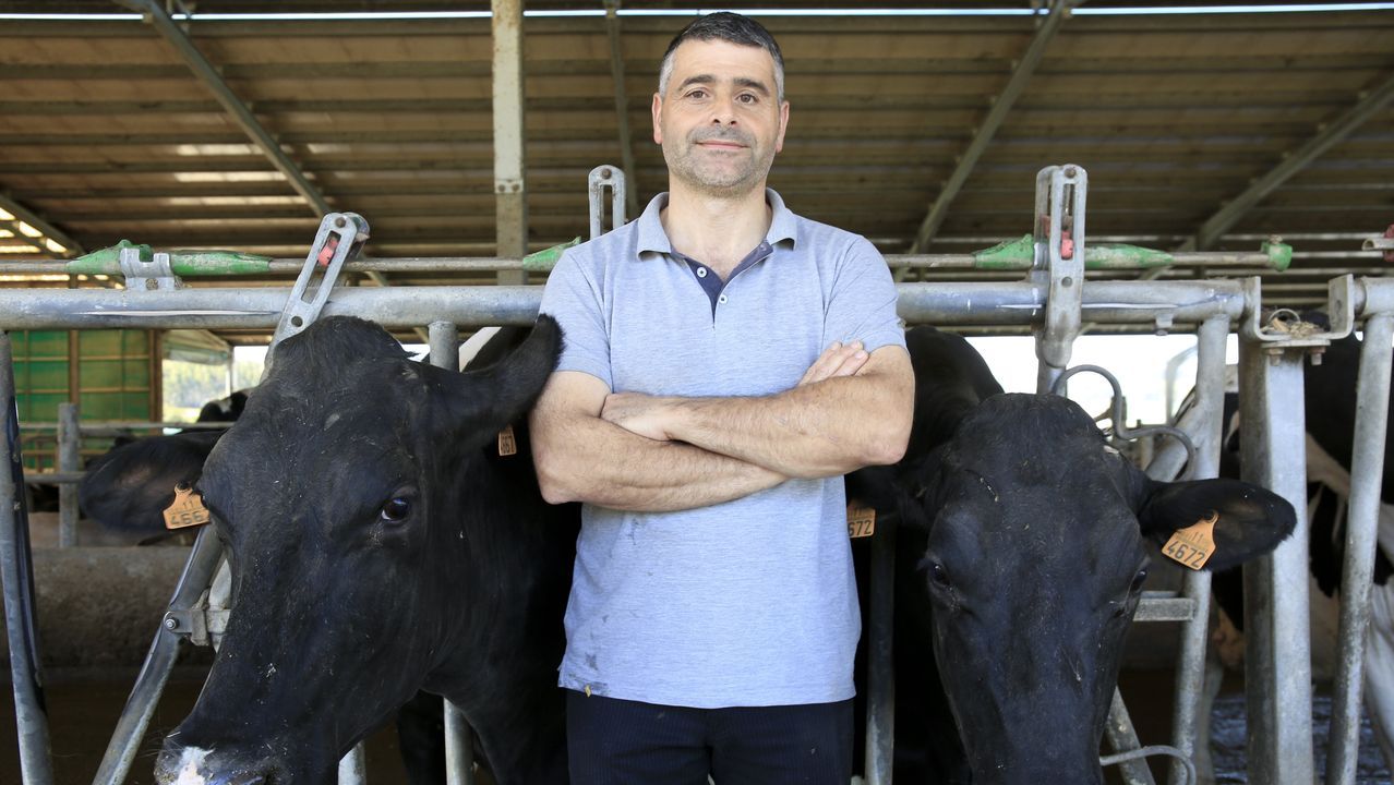 El colectivo Patrimonio dos Ancares documenta nuevos petroglifos en el Concello de Sarria