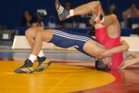 Entre los participantes en la exhibici�n hay medallistas nacionales