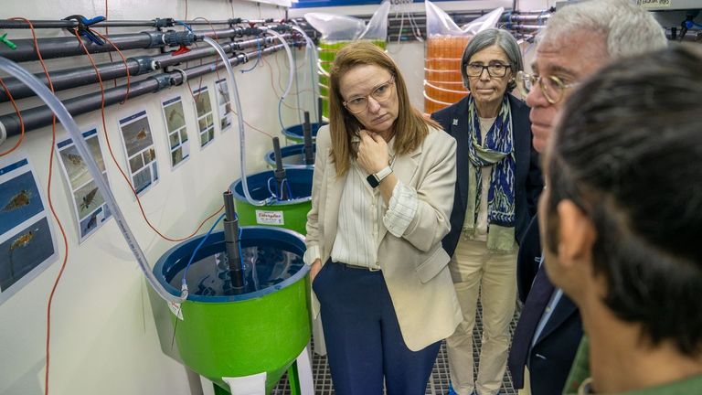 Nace Acuiregal, primera unidad mixta de CSIC y empresas para impulsar la acuicultura regenerativa en Galicia