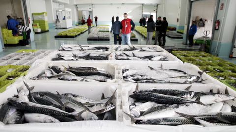 El cupo adicional permitir alargar la duracin de una de las pesqueras ms rentables