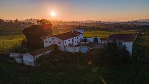 Quintana finca 'La Marruca'