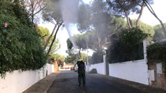 Un operario fumiga en una calle de Alcal de Guadaira