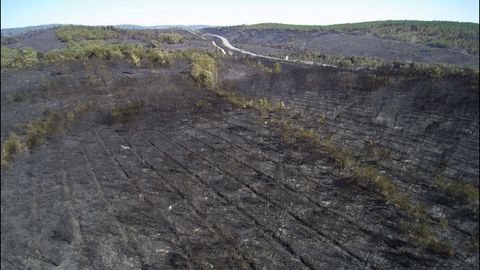 Vista area de la superficie quemada por el fuego en Monforte y Pantn